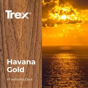 Trex Transcend HAVANA GOLD