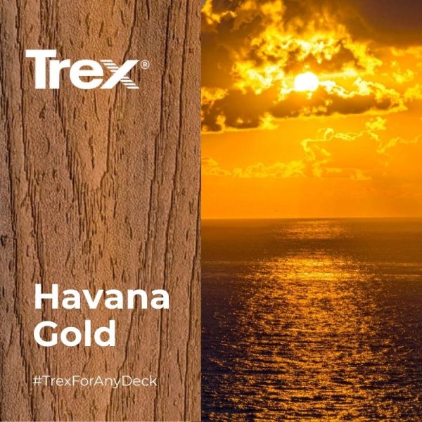 Trex Transcend HAVANA GOLD